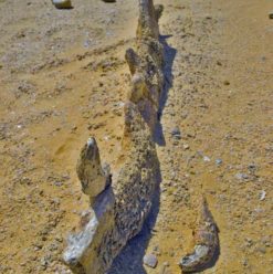 Wadi El Rayan: The Beauty of Nature