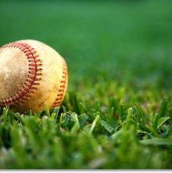 Cairo American Softball League: Good Times and Good Friends