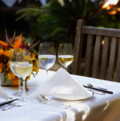 Best Restaurants in Cairo: A Look Back at 2010