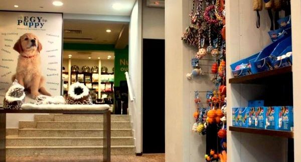 Egy Puppy Pet Supplies Haven in Maadi Cairo 360 Guide to Cairo