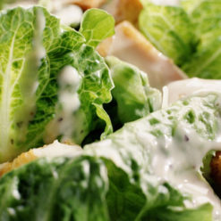 South Corner: Pleasant Terrace Lunch in Downtown Cairo