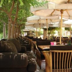 Casino Café: Restaurant With Stunning Nile View in Giza