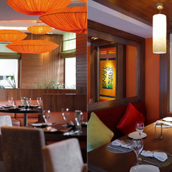 اكسب! عشاء لفردين في مطعمي آشاز وتشوب تشوب