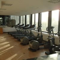 Optimum Gym: Comprehensive Gym & Martial Arts Classes in Maadi