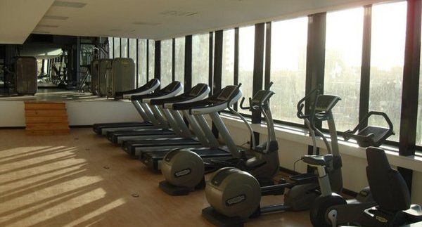 Optimum Gym: Comprehensive Gym & Martial Arts Classes in Maadi