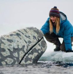 Big Miracle: Feel-Good Family Film