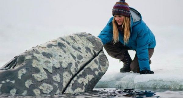 Big Miracle: Feel-Good Family Film