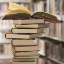 Livres De France: Charming Little Bookshop in Maadi