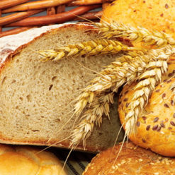 تي بي إس: فرع جديد أكبر و أشيك في المهندسين