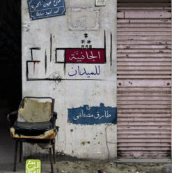 الشوارع الجانبية للميدان: مجموعة قصصية من قلب الثورة