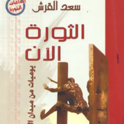 الثورة الآن: كتاب يكشف المتحولين ويوميات مختلفة للثورة المصرية