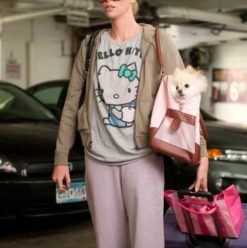 Young Adult: Dark Comedy From the Makers of Juno