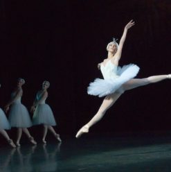 Swan Lake: Timeless Ballet Comes to Cairo Opera House