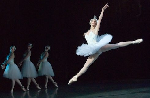Swan Lake: Timeless Ballet Comes to Cairo Opera House