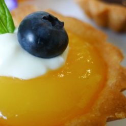 جوتيه: تورتات حلوة بس مالهاش طعم فى المهندسين