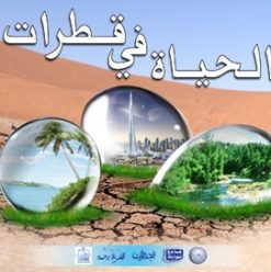 حملة الساقية لترشيد استهلاك المياه وحفل أحمد الحجار بساقية الصاوي