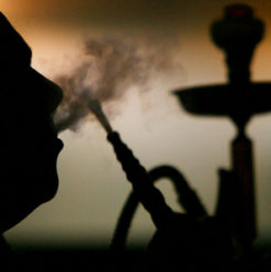 Café Vivant: Smoky Shisha Café in Zamalek