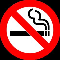 ندوة عن الإقلاع عن التدخين بساقية الصاوي