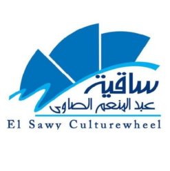 مناقشة ديوان محمد سالم بساقية الصاوي