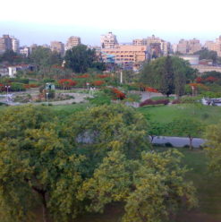 International Garden: Green Hideaway in Nasr City