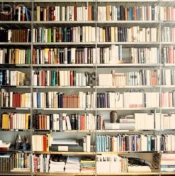 Bikya: Cairo’s Coolest Bookshop Opens New Branch in Maadi