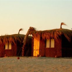 Kiteloop: Kite Surfer Haven in Sinai