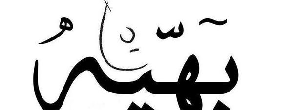 فريق بهية في بيكيا مدينة نصر