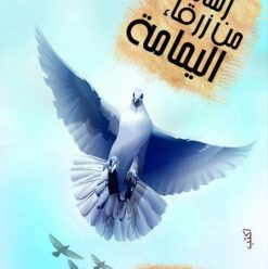 رسالة من زرقاء اليمامة: هى فعلاً رسالة