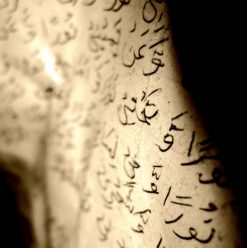 تاريخ الشرائع: ثقافات مختلفة وعالم واحد