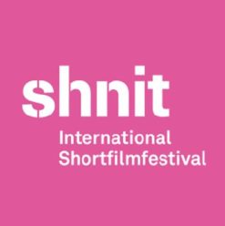 مهرجان شنيت العالمي للأفلام القصيرة في درب 17 18
