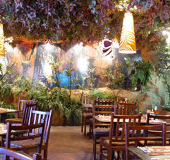 بلانت أفريكا: أطباق عالمية في غابة صناعية في سيتي ستارز