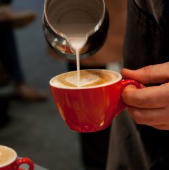 Etoile: Quiet & Relaxing Café in Downtown Cairo