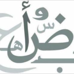 لقاء  ثورة على الأخطاء اللغوية 13 بساقية الصاوي