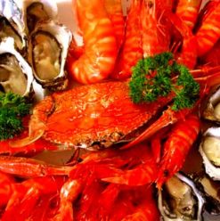 Seasons: Wednesday Night Seafood Buffet in Giza