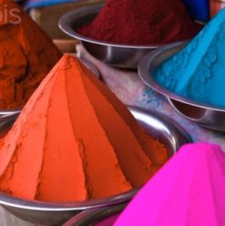 مهرجان الألوان الهندي الرابع في سويس كلوب