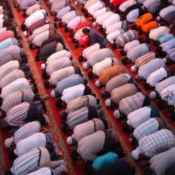 الصلاة وأحوال المسلمين في ساقية الصاوي