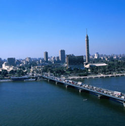 Cairo Weekend Guide: January 25th, Cairo International Book Fair & More