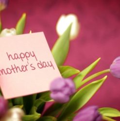 Cairo Guide: Celebrating Mother’s Day 2014 in Cairo