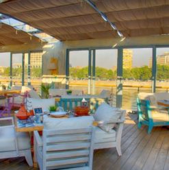 The Lemon Tree & Co: Laidback Nile-Side Bar in Zamalek
