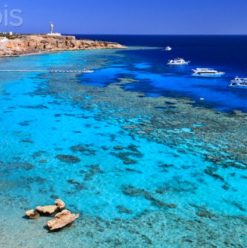 Sharm El Sheikh: Fun for the Whole Family Along the Red Sea in Egypt
