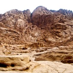 Mount Sinai: Red Sea Coast Adventure