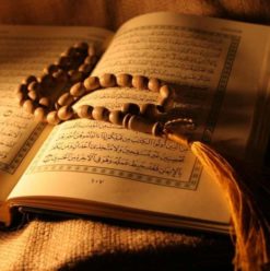 ندوة دينية ولقاء حول تفسيرات القرآن الكريم بساقية الصاوي