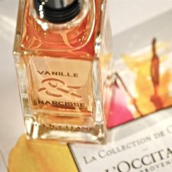 L’Occitane En Provence: Natural Skin Care Products From French Brand at Mall of Arabia