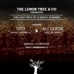 Tito at the Lemon Tree & Co.
