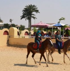 الريف العربى للخيول: استمتاع مختلف فى المريوطية