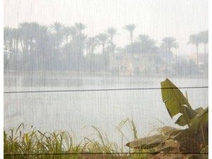معرض “بالقرب من هنا” بمركز الصورة المعاصرة