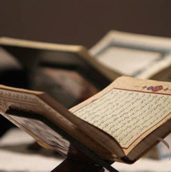 ندوة “القرآن طريق النور ونور الطريق” بساقية الصاوي