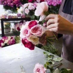 دليل كايرو 360 لأفضل أماكن شراء الورد وكيفية اختياره فى القاهرة