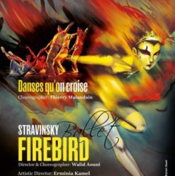 ‘The Firebird’ at Cairo Opera House