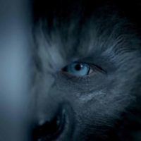 Wolves: Twilight Meets Teen Wolf in Humdrum Horror